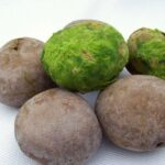 Image du produit précédent